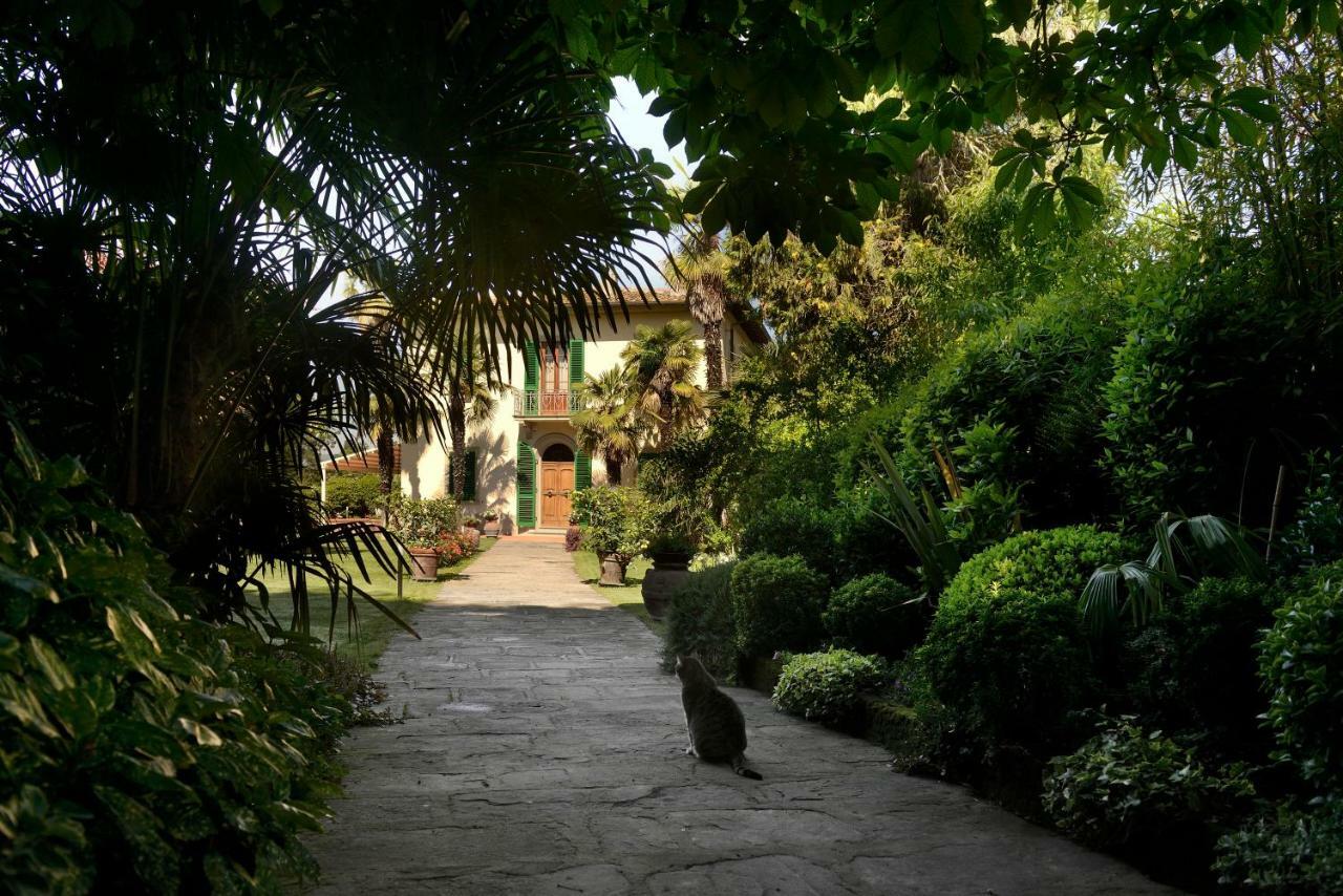 Villa Le Facezie B&B แตร์รานูโอวา บราชโชลีนี ภายนอก รูปภาพ