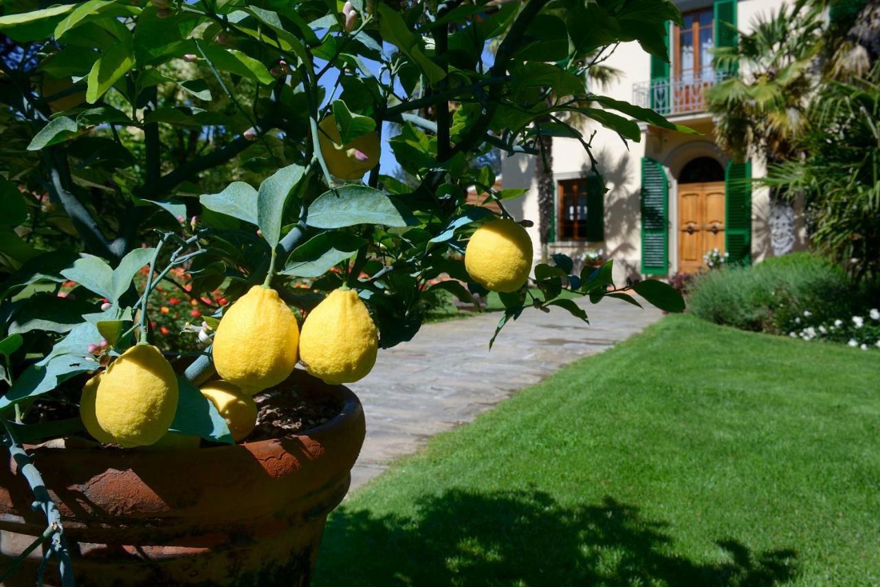 Villa Le Facezie B&B แตร์รานูโอวา บราชโชลีนี ภายนอก รูปภาพ